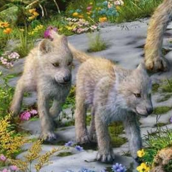 New sealed Ravensburger 1500pcs Puzzle-Wolves In Spring  | Adult Puzzles - Picture 5 of 12